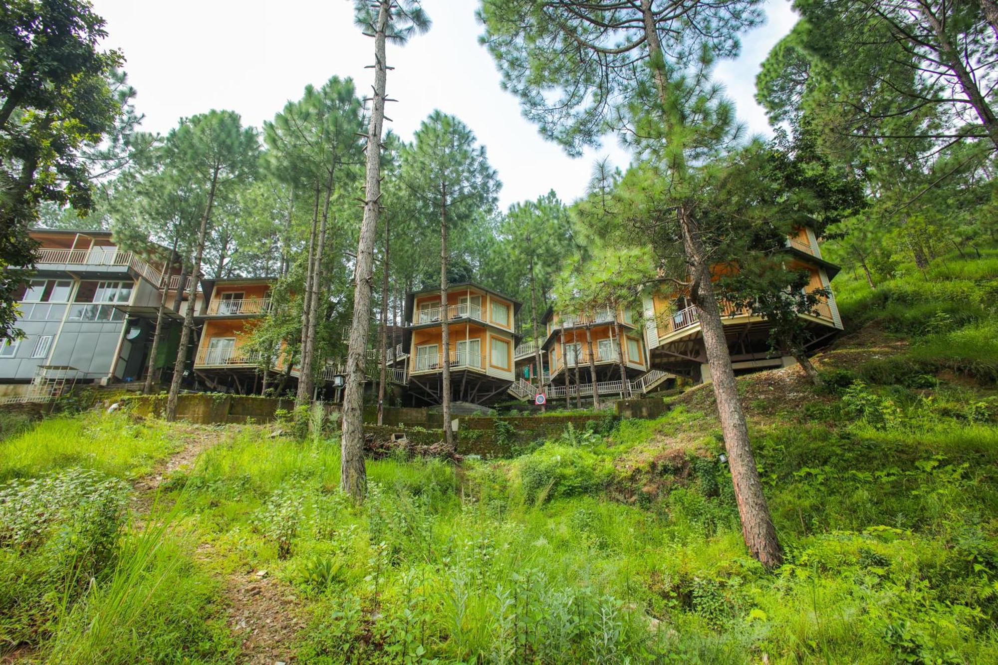 The Woods Retreat Hotel Lansdowne Exterior photo