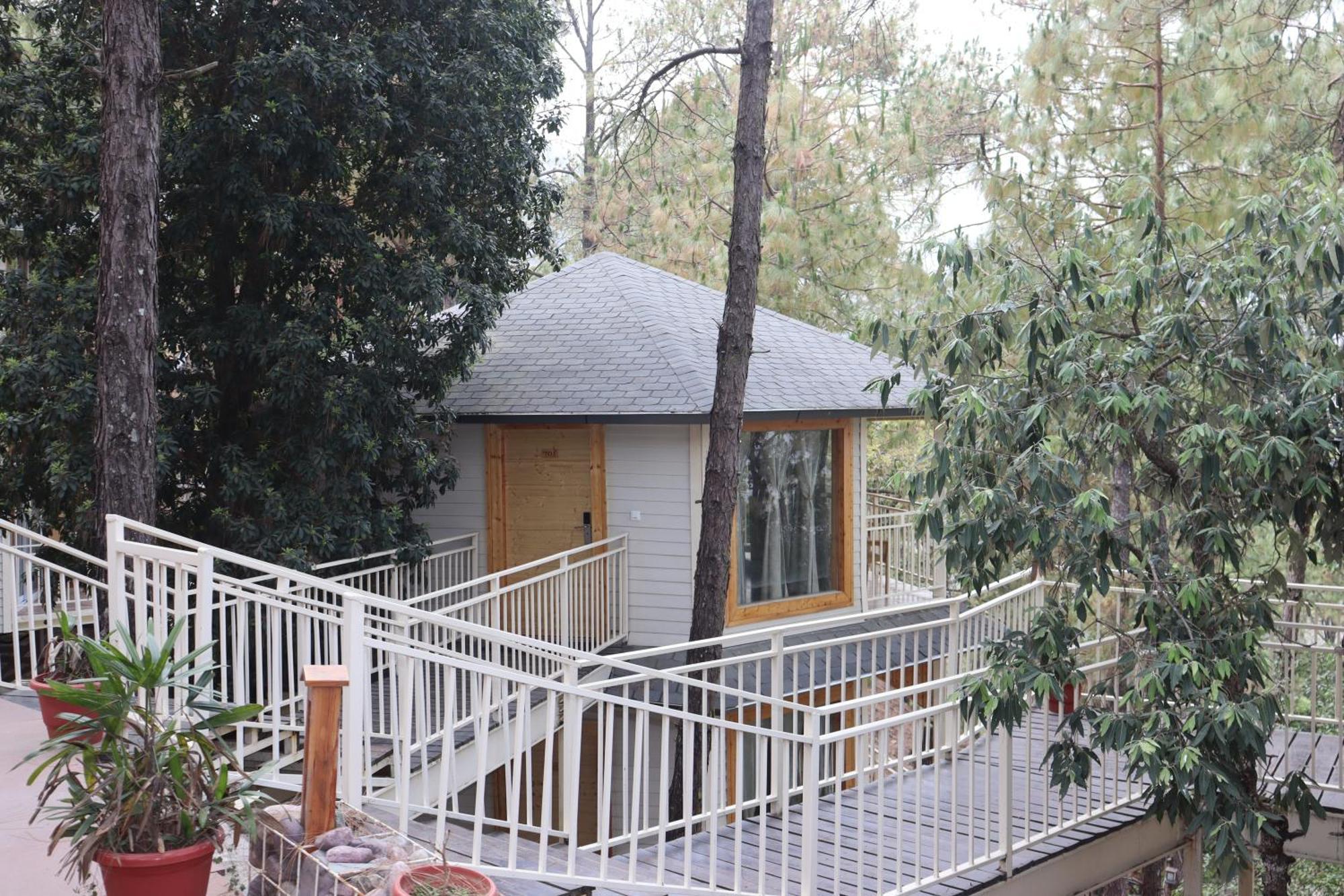 The Woods Retreat Hotel Lansdowne Exterior photo